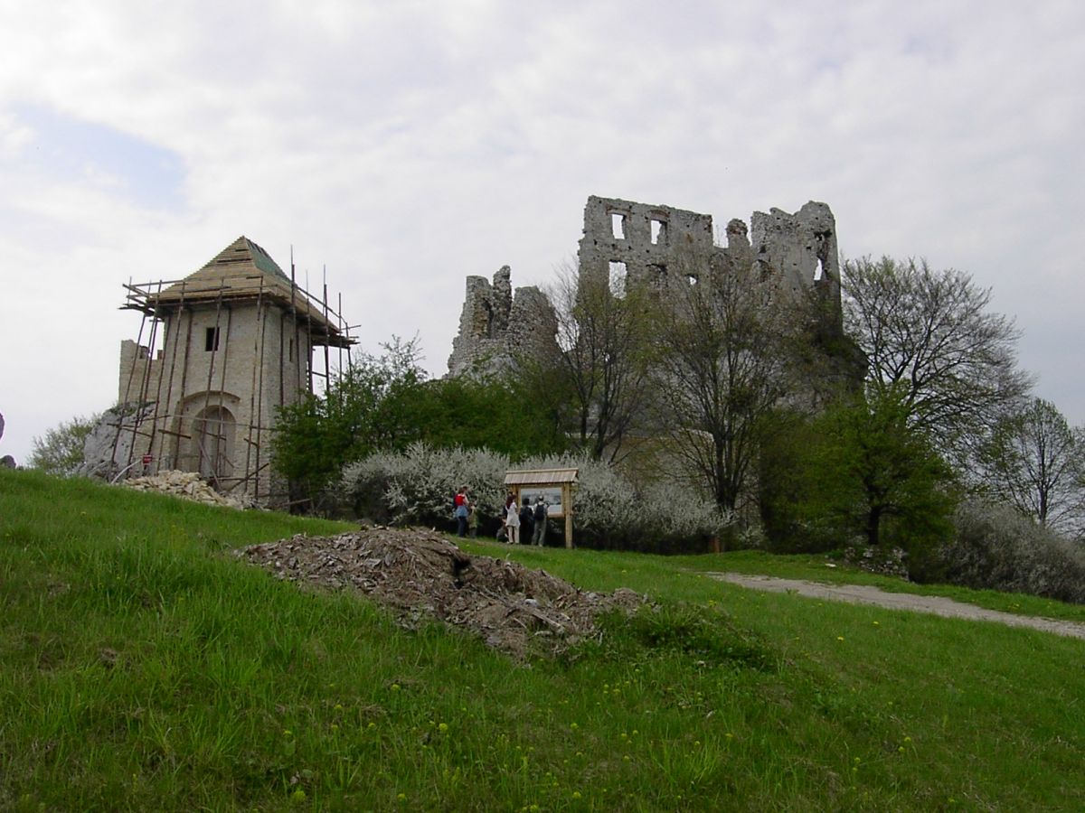 Bobolice Przewodnik Dioblina