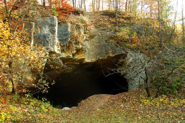 Rezerwat Przyrody Szachownica