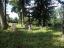 Cmentarz wojenny nr 110 - Binarowa