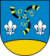 Gmina Nieborów - herb