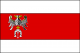 Flaga powiatu brzezińskiego