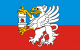 Flaga powiatu łęczyńskiego