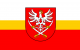Flaga powiatu miechowskiego