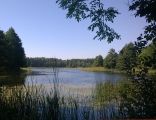 Lake Górczyckie