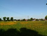 Mogila meadow,Nowa Huta,Krakow,Poland