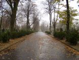 Brodno Cemetery - main lane