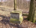 Ewangelical cemetery in Gostynin2