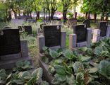 Cmentarz Karaimski w Warszawie 1