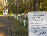 War cemetery in Granica