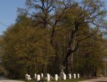 I WW military cemetery 376 Suchoraba, Poland