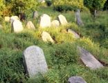 Krynki-jewish cemetery