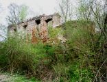 Ruins of palast in Dębowy Gaj