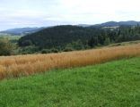 Groń
