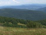 Połonina Wetlińska panorama