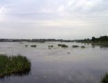 Jezioro Bugaj (Piotrkow)