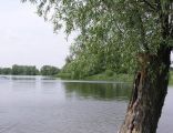 Dziekanowskie lake