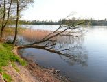 Jezioro Oleckie Wielkie
