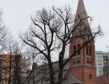Kościół św. Ducha w Szczecinie