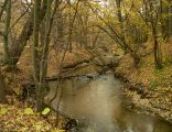 Mazowiecki Park Krajobrazowy