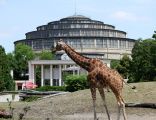 Wroclaw zoo and centennial Hall