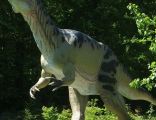 Jurassic Park for kids in Kletno PL