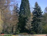 Botanic Garden Oliwa
