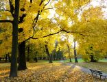 Autumn in Decjusz Park