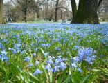 Park Klepacza Lodz