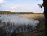 Jezioro Piaszno w Bronkowie