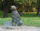 Warszawa pomnik szczęśliwego psa
