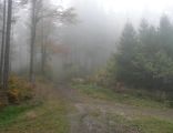 Beskid Slaski, Przelecz Kozia