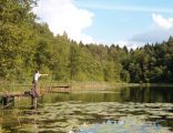 Jezioro Przylesie