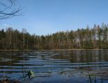 Black Pond, Niepołomice Forest, Poland, 2009-04-04