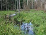 Nature reserve Góra Pieszczana 02