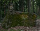 Głaz narzutowy koło rezerwatu Jodłowice 10 V 2009 węższa strona