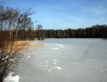 Poland Torfy Lake