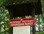 Rezerwat Annabrzeskie Wąwozy