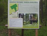 Nature reserve Puszcza Marianska01