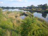 Baczkowski Pond. Poznan