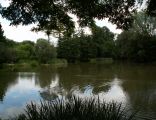 Kaczencowa Pond Nature reserve,Nowa Huta,Krakow,Poland