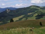 Wysoki Wierch