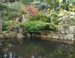 Ogród japoński w Jarkowie