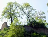 Ruiny rycerskiego zamku w Podgrodziu k. Ćmielowa