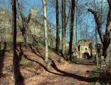Wejście do zamku Gryf w Proszówce