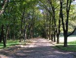 Park w Bytomiu