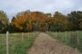 Jackowo park nr 638269 fota 13