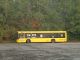 Bolina - Koniec trasy autobusu 109