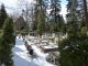 CmentarzGrabiszynski-zima