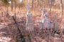 Sobibor2