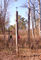 Sobibor7